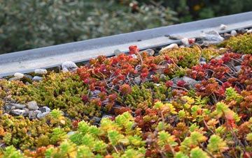 the cost of Carbrain green roof installation