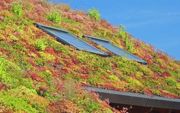 Carbrain living roof systems