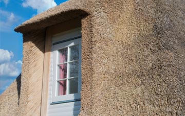Carbrain thatch roof disadvantages